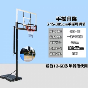 篮球架儿童户外室内篮球成人青少年可升降移动小孩篮框训练家用