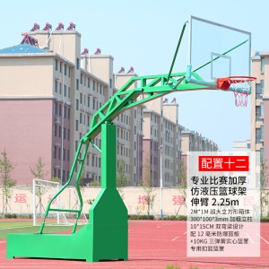 室外蓝球比赛可升降成年加强青少年打球学校篮球架国标稳固户外