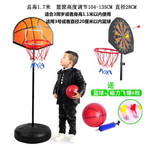 小学生篮球架室内投篮架可升降篮筐运动户外子玩具可移动标准球架