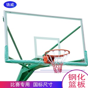 铸威篮球架【送货上门】移动篮球架户外家用室外标准篮球架子室内可升降篮球框青少年 绿色固定凹箱小箱体