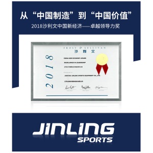 JINLING/金陵篮球架 成人体育器材YLJ-5A 室内亚运之星A 智能篮球架 11100 不含运费 不含安装