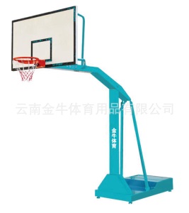 厂家直销 云南篮球架 户外移动篮球架 标准成人 比赛专用 篮球架