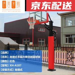 室外篮球架 可移动家用青少年训练标准仿液压独臂篮球架户外 新款加强款配红色