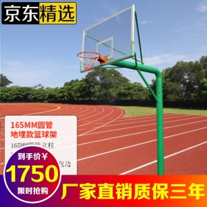 篮球架 户外标准家用室内可升降移动篮球架梯式凹箱篮球框成人成年人青少年学校公园小区社区运动健身器材