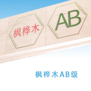 篮球场馆运动木地板室内综合场馆体育运动馆室内羽毛球场木地板