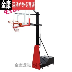 蓝球架室内蓝球架篮球框家用篮球架儿童青少年可升降移动标准胶条挂式防撞