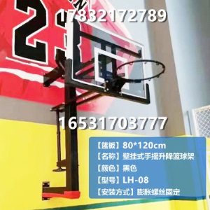 移动篮球架成人可升降家用训练青少年儿童室外篮球架户外标准扣篮