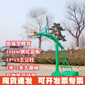 函翔成人篮球架户外体育馆学校 家用移动标准比赛户外篮球架