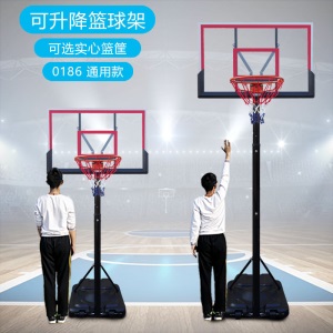 成人蓝球标准架升降可户外框家用投篮室外可篮球架移动青少年儿童
