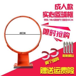 晟之冠户外篮球架成人家用训练篮球框挂式青少年室外篮圈儿童篮筐
