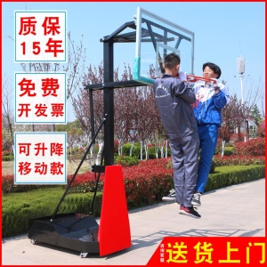 【送货上门】可升降移动篮球架成人家用室内儿童篮球架户外青少年升降篮球架室外训练