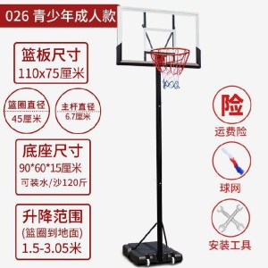 幼儿户外篮球架移动型可篮球板大人便携式儿童玩具篮筐投升降男孩