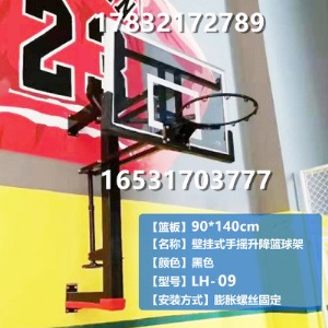 移动篮球架成人可升降家用训练青少年儿童室外篮球架户外标准扣篮