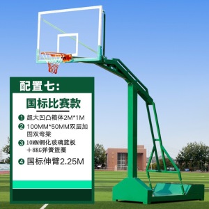 篮球架成人标准户外移动蓝球架家用学校训练篮球架子篮球框绿色大箱篮架