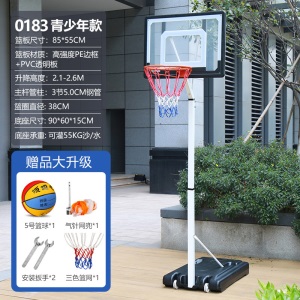 儿童篮球架户外投篮家用篮筐室内室外标准可升降移动青少年篮球框
