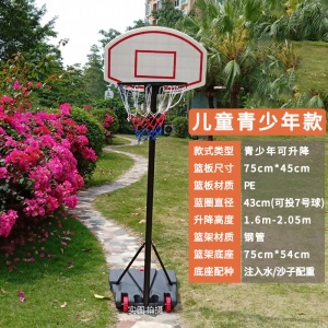 篮球架儿童可升降青少年标准蓝框可移动户外家用篮球架子投篮架筐