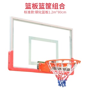 调节移动可升降篮球架学生儿童标准篮球框训练休闲户外篮球架定制