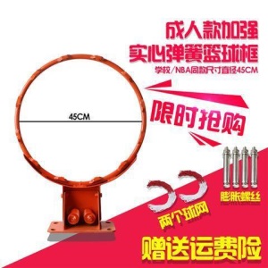 晟之冠户外篮球架成人家用训练篮球框挂式青少年室外篮圈儿童篮筐