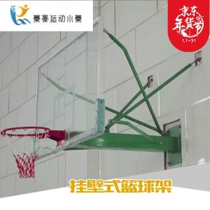 篮球架户外标准学校单位训练比赛可扣篮平箱可移动室外篮球框