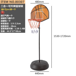 皇冠篮球架儿童篮球板飞镖盘二合一可升降室内户外运动玩具男孩