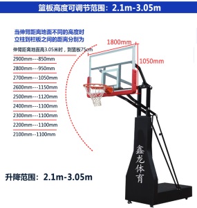青少年篮球架成人户外家用训练比赛专业儿童标准篮框可升降移动式