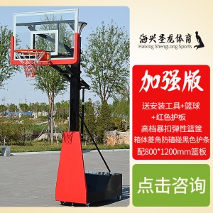儿童家用标准球架青少年篮球架室内比赛用可移动升降扣篮球框