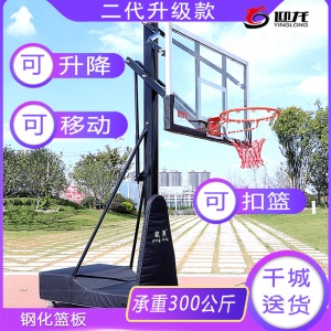 迎龙三代成人标准户外运动家用移动篮球架室外成年篮球框可升降