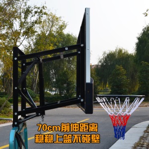 德胜(SBA305)篮球架 成人 户外室内悬挂式投篮架子标准篮筐