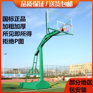 篮球架 家用成人移动篮球架 移动单臂独臂 凹箱成人户外健身学校家用比赛标准篮球架室外篮球架