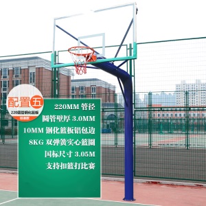 宸芃地埋式篮球架户外固定成年标准家用青少年小型简易投球架