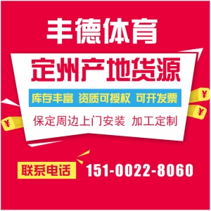 篮球架标准成人移动学校比赛专业户外室外篮球架厂家直销批发