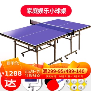 红双喜乒乓球桌儿童迷你型小号家用T919室内小型乒乓球台可折叠式 【江浙沪地区】TM616