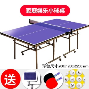 红双喜乒乓球桌儿童迷你型小号家用T919室内小型乒乓球台可折叠式 【江浙沪地区】TM616