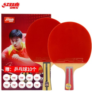 红双喜（DHS）乒乓球桌 T2023
