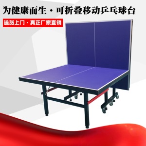 环美乒乓球台 室内折叠乒乓球桌标准移动折叠式乒乓球桌标准比赛乒乓球桌家用乒乓球台带轮乒乓球桌折叠带轮