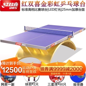 红双喜（DHS）乒乓球桌 金彩虹 乒乓球台乒乓案子LED灯光款标准比赛用台室内折叠 TCH-G