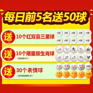 红双喜乒乓球桌家用可折叠标准室内乒乓球台带轮折叠式易推移
