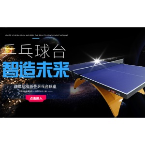 大彩虹小彩虹标准室内乒乓球台家用俱乐部球馆比赛乒乓球桌案子