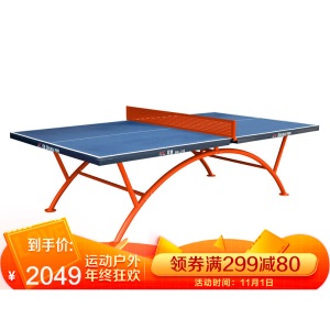 双鱼（DOUBLE FISH）乒乓球桌  室外乒乓球台训练比赛用乒乓球案子
