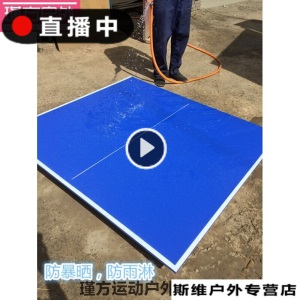 标准比赛乒乓球台乒乓球桌面乒乓国标货折叠