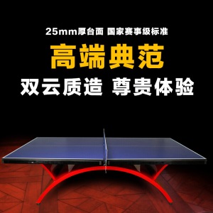 定制室内乒乓球桌 大彩虹标准乒乓球台 家用兵乓球台案子 兵浜球桌
