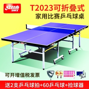 正品dhs红双喜乒乓球台T2023室内标准家用健身训练专业比赛可移动折叠乒乓球桌带轮