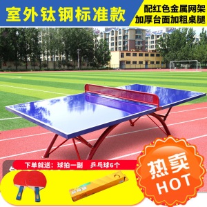 乒乓室外 标准家用smc户外防水防酸雨防晒乒乓球桌学校球桌
