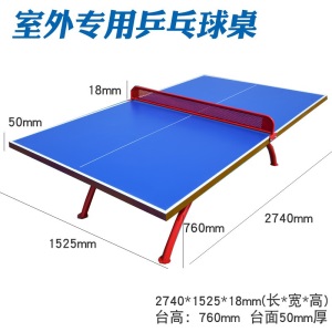 路人王  儿童乒乓球桌乒乓球台室外防水防晒户外乒乓球桌标准家用室内可折叠儿童球案子