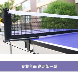 红双喜乒乓球台家用折叠室内标准dhs兵乓球案子正品乒乓球桌 T919 蓝色 （内含网架）