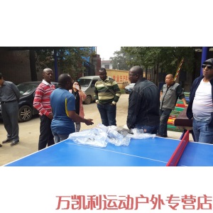 SMC室外乒乓球台户外防水乒乓球桌标准国标乒乓球案子
