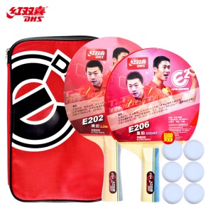 红双喜DHS 乒乓球桌家用训练健身折叠标准乒乓球台TK3019