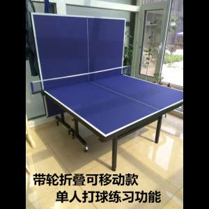 折叠金彩虹大彩虹乒乓球台小彩虹2828乒乓球桌案室内户外室外 定制选项