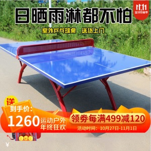 乒乓球桌家用可折叠户外室内标准兵浜球台比赛训练移动室外成人乒乓球台案子儿童乒乓球桌子