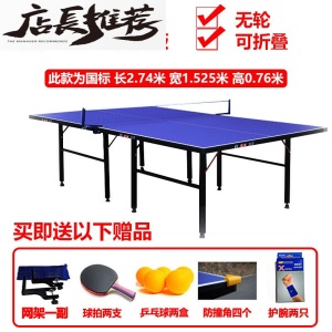 乒乓球桌小球台桌面小型便携可推拉桌板休闲约家用